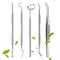 Stainless Steel Dentist Oral Care Kit 5