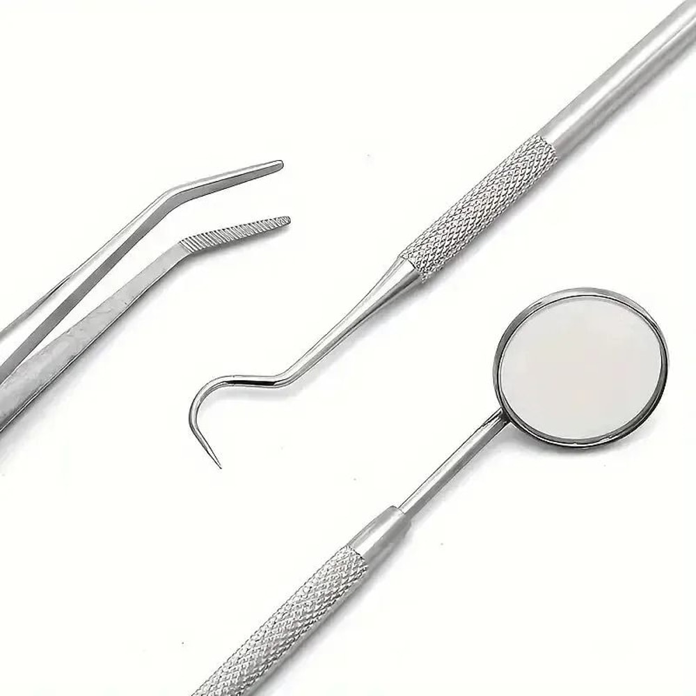 Stainless Steel Dentist Oral Care Kit 0