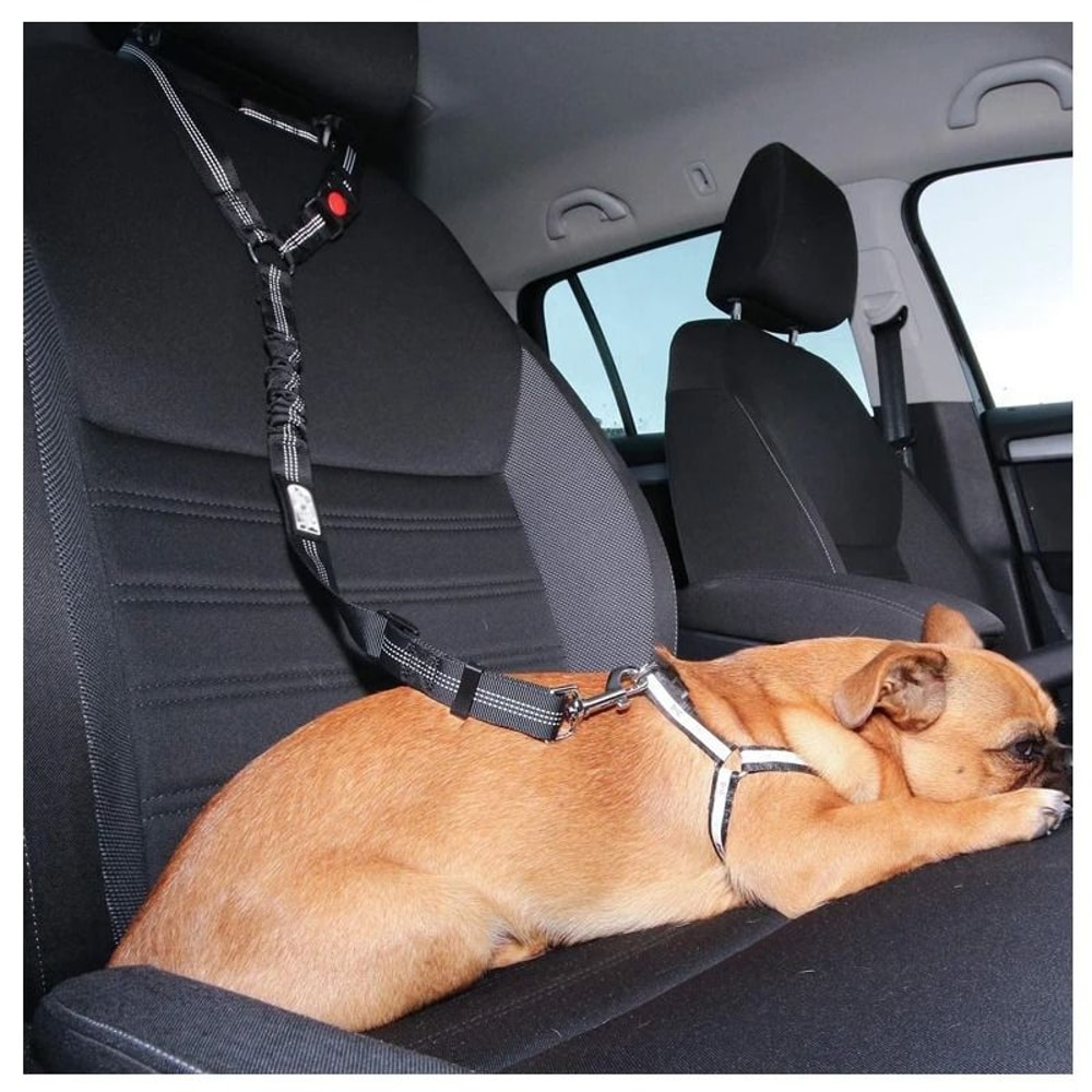 New Solid Twoinone Dog Harness Leash Adjustable Pet Backseat Safety Belt 5