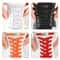 8mm NoTie Elastic Shoelaces Press Lock Flat Sneaker Laces 2