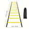 Professional Agility Training Ladder IndustrialGrade Speed Flexibility Equipment 10