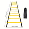 Professional Agility Training Ladder IndustrialGrade Speed Flexibility Equipment 10