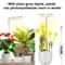 Full Spectrum LED Ring Grow Light Industrial Grade Indoor Plant Support 1