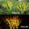 Vibrant Autumn Wheat Solar Pathway Lights 2