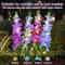 Solar Outdoor Decorative Flower Stake Lights 5