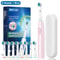 Electric Rotary Rechargeable Toothbrush For Adults 11