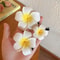 Bohemian Plumeria Floral Hair Clips 0