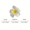 Bohemian Plumeria Floral Hair Clips 5