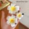 Bohemian Plumeria Floral Hair Clips 6