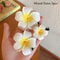 Bohemian Plumeria Floral Hair Clips 6