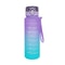 900ML HighPerformance Gradient Sports Water Bottle 5