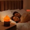 Dimmable Flameless Candle Sleeping Night Light 3