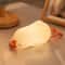 BANDIAN Rechargeable LED Cute Duck Night Light 0