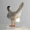 Simulated Animal Creative Chicken Night Light 4