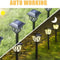 NordicStyle LED Solar Lawn Pathway Lights 2