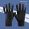 Professional Lightweight IceSilk Running Gloves 0