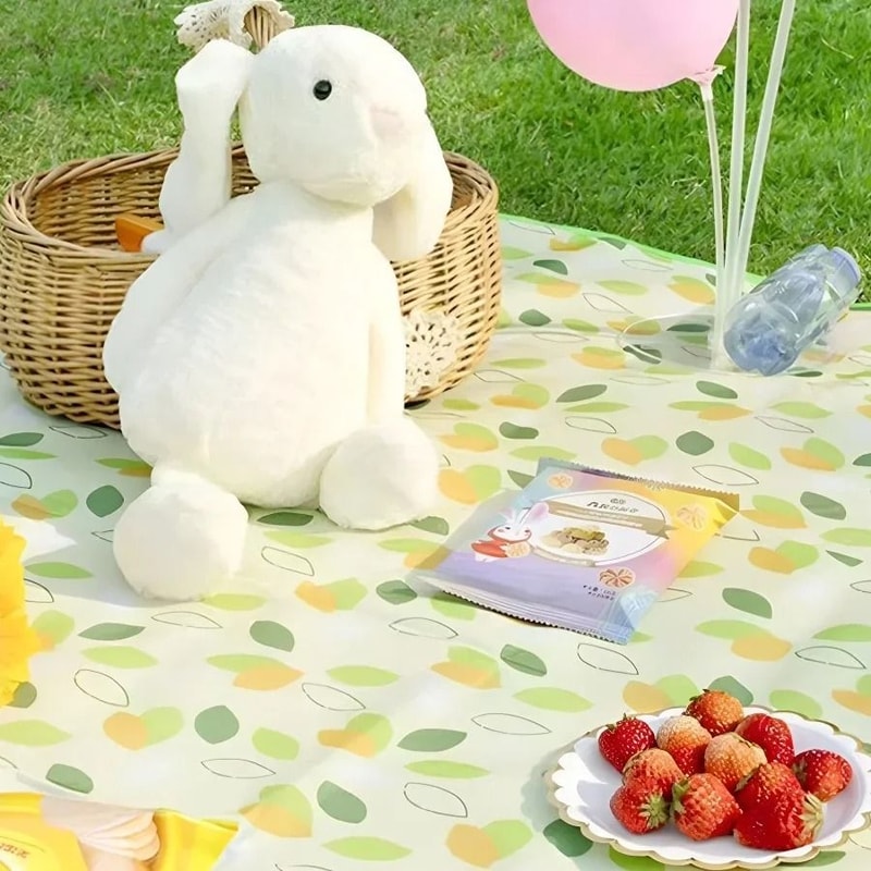 IndustrialStandard Lightweight Outdoor Picnic Beach Blanket 4