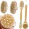 2 In 1 Natural Bristle Dry Skin Body Massage Brush 1