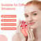 Silicone Beauty Lifting Ice Ball Face Massager 2