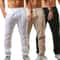Mens Summer Breathable Casual Fitness Pants 0