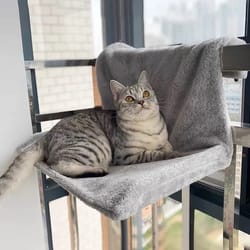 multi-functional cat scratching sofa and nest