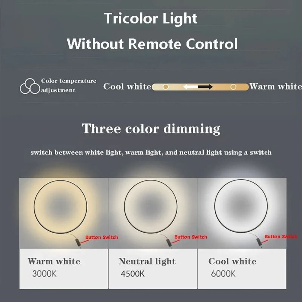 Modern Large Circle LED Wall Sconce System 5