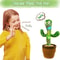 Dancing Cactus Talking Speaker Toy With Voice Repeat And LED 1