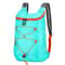 Multifunctional Ultralight Outdoor Folding Backpack 7