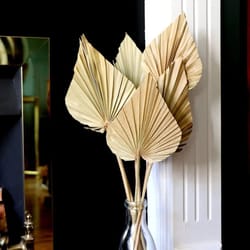 2 pcs dried palm fan leaf & pampas grass set