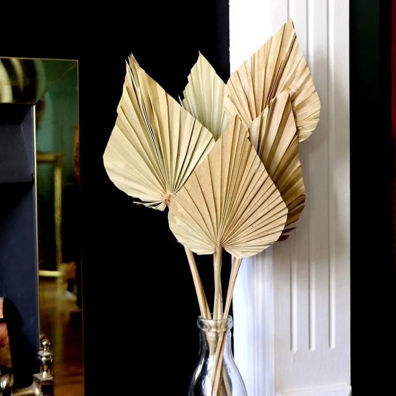 2 PCS Dried Palm Fan Leaf Pampas Grass Set 0