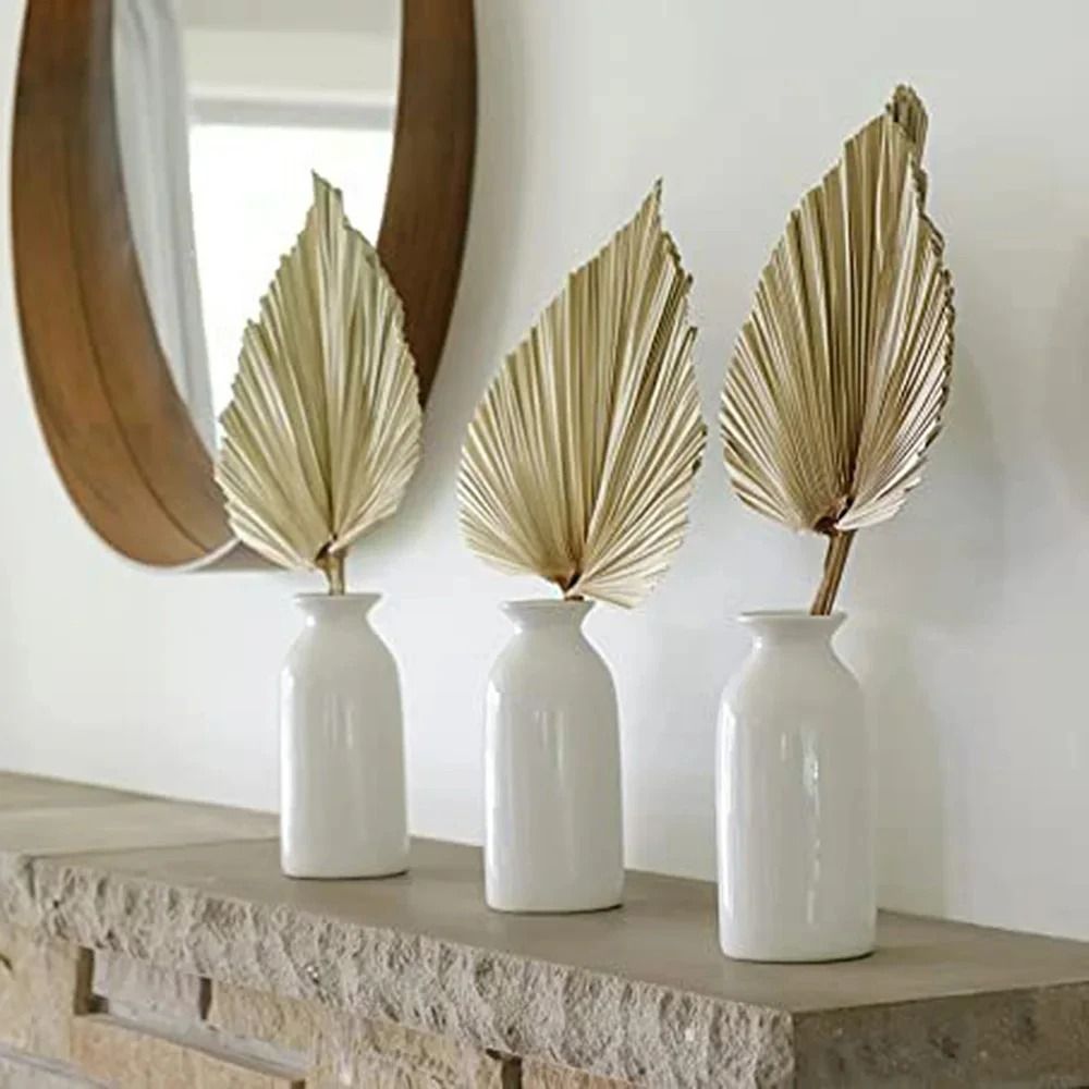 2 PCS Dried Palm Fan Leaf Pampas Grass Set 1