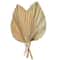 2 PCS Dried Palm Fan Leaf Pampas Grass Set 6