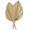 2 PCS Dried Palm Fan Leaf Pampas Grass Set 6