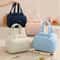 HighCapacity Waterproof Portable Insulation Lunch Bag 1