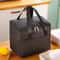 Fashion LargeCapacity Leakproof Lunch Cooler Bag 10
