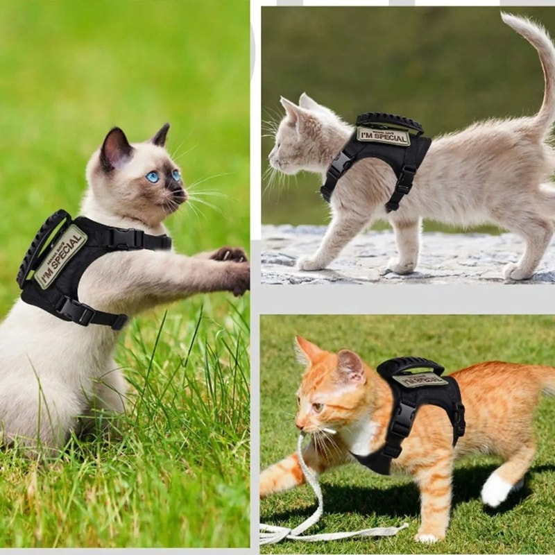 Tactical Adjustable Pet Harness And Lead Set 5
