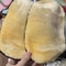 Microfiber Wool Soft Auto Car Washing Glove 5