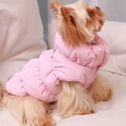 premium dog jacket for autumn/winter