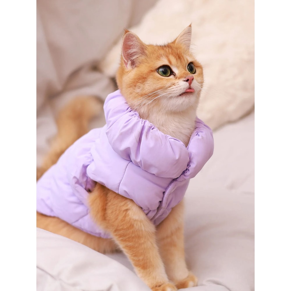 Premium Dog Jacket For AutumnWinter 11