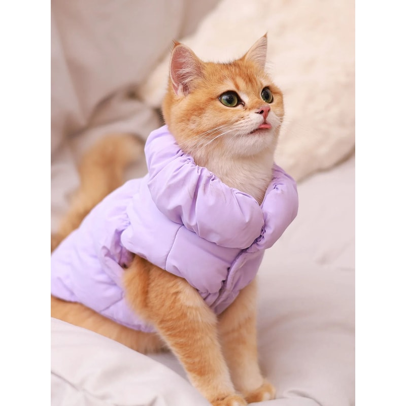 Premium Dog Jacket For AutumnWinter 2