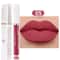Matte Velvet Waterproof Lip Glaze 9