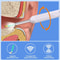 Wireless Visual Ear Wax Removal Kit 3