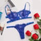 Fairy Embroidery Push Up Lingerie Lace Transparent Underwear Delicate Bra Brief Set 9