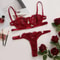 Fairy Embroidery Push Up Lingerie Lace Transparent Underwear Delicate Bra Brief Set 6
