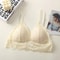 Lace Bralette Sexy Push Up Bra Transparent Backless Lingerie 6