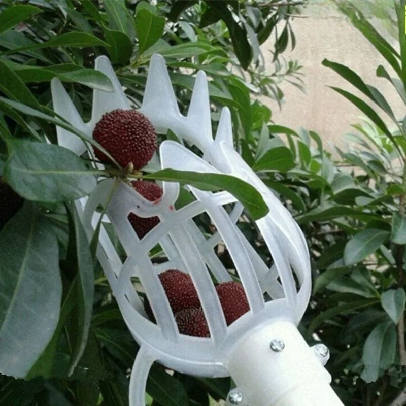 Multifunctional Fruit Picker Tool High Branch Harvest Device For Bayberry Loquat And Plum 5