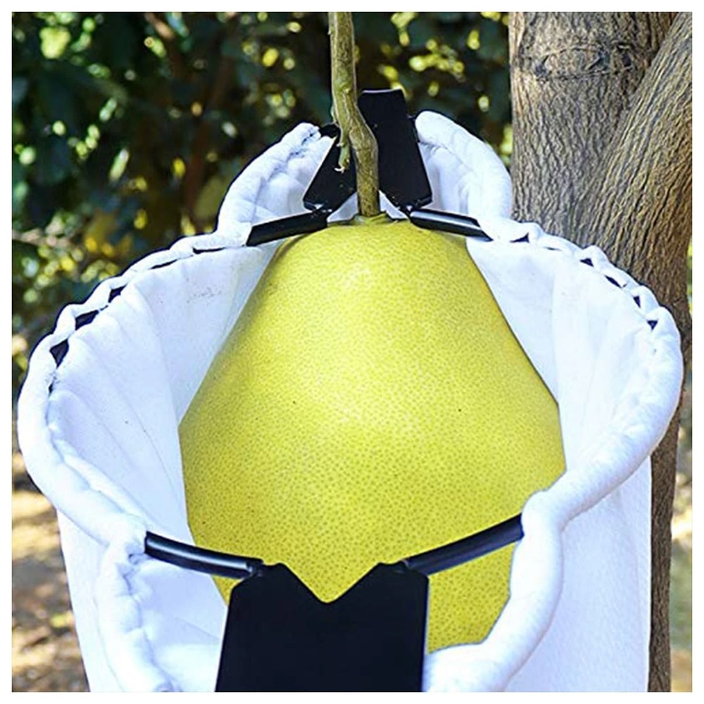 Professional Fruit Picker With Collection Pouch High Tree Harvesting Tool For Orchards And Farms 2