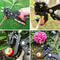 Professional Garden Grafting Tool Pruner Precision Branch Cutter And Plant Shears Kit 4