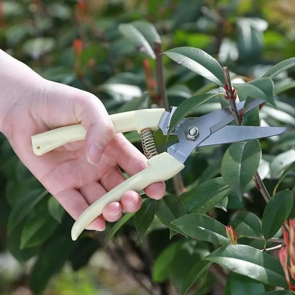 Stainless Steel Professional Pruning Scissors Multifunctional Bypass Garden Shear For Flower Tree 1