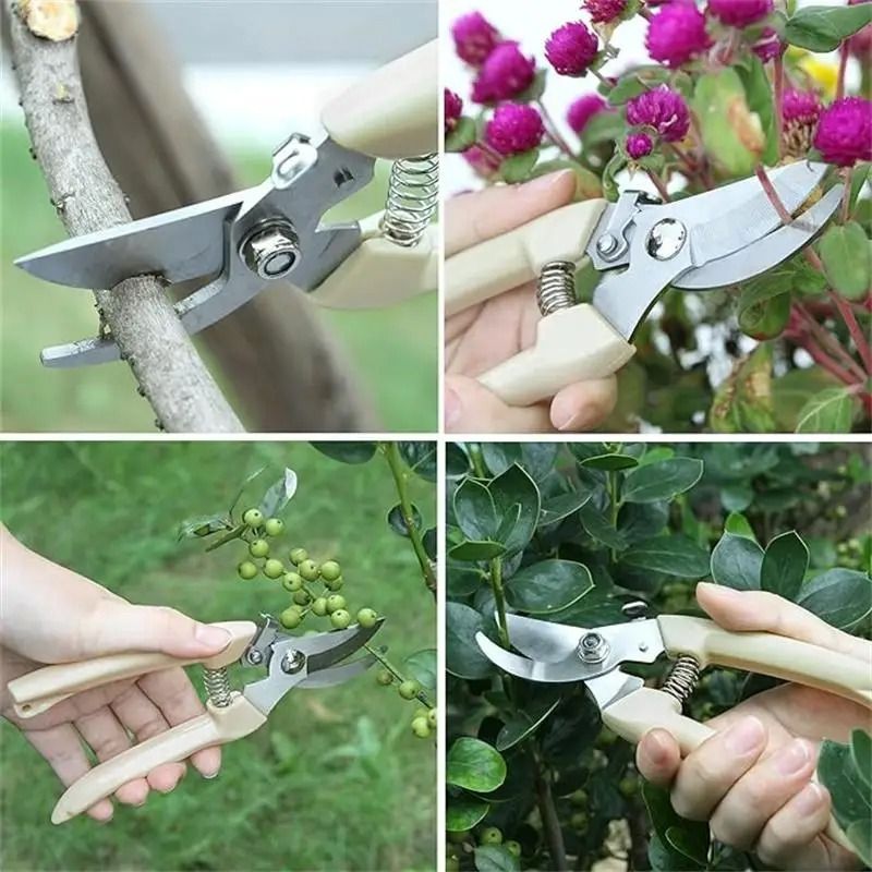 Stainless Steel Professional Pruning Scissors Multifunctional Bypass Garden Shear For Flower Tree 3